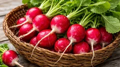 Frühlingsgarten auf der Fensterbank: Welches Gemüse kann zu Hause angebaut werden